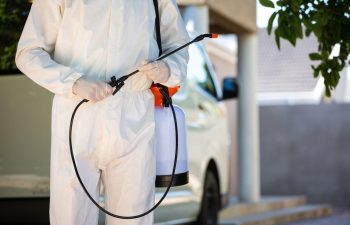 شركة رش مبيدات بالدمام | شركة امواج كلين