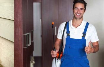 شركة رش دفان بالدمام | شركة امواج كلين