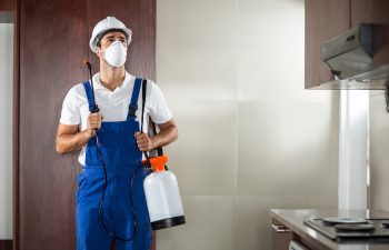 شركة مكافحة الصراصير بالدمام والخبر والقطيف والظهران | شركة امواج كلين