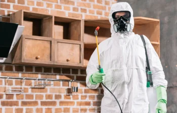 شركة مكافحة حشرات بالدمام والخبر والقطيف والظهران | شركة امواج كلين