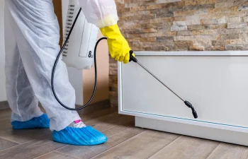 شركة رش دفان بالدمام والخبر والقطيف والظهران | شركة امواج كلين