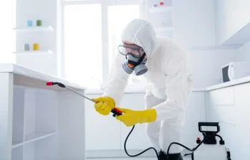 شركة مكافحة الصراصير بالدمام | شركة امواج كلين